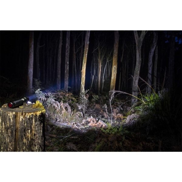 ARB - 10500070 - Pureview 800 Flashlight