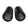Old Man Emu - 2417 - Coil Spring Set