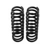 Old Man Emu - 2856 - Coil Spring Set