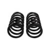 Old Man Emu - 2897 - Coil Spring Set