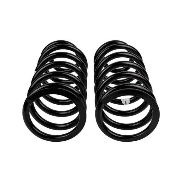 Old Man Emu - 2898 - Coil Spring Set