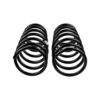 Old Man Emu - 2923 - Coil Spring Set