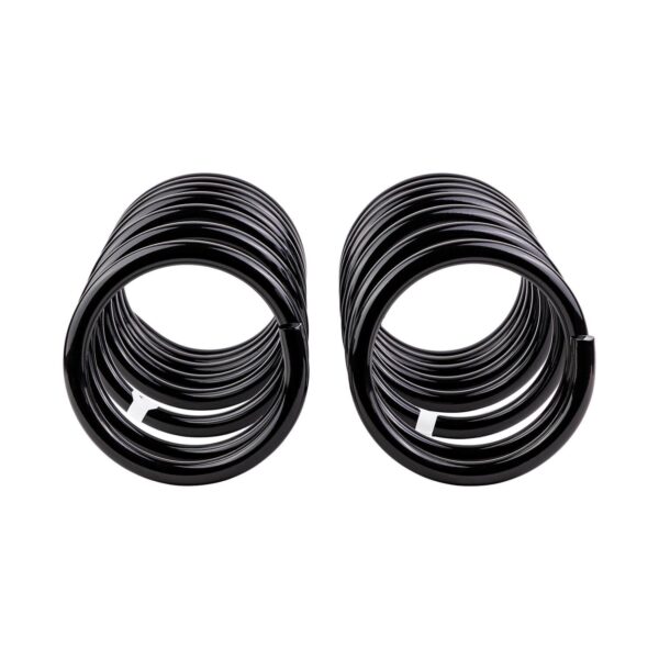 Old Man Emu - 2938 - Coil Spring Set