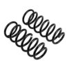 Old Man Emu - 2971 - Coil Spring Set