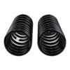 Old Man Emu - 2980 - Coil Spring Set