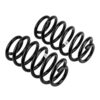 Old Man Emu - 2993 - Coil Spring Set