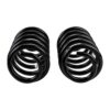 Old Man Emu - 2993 - Coil Spring Set