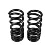 Old Man Emu - 2995 - Coil Spring Set