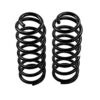 Old Man Emu - 3036 - Coil Spring Set