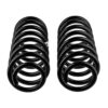 Old Man Emu - 3036 - Coil Spring Set