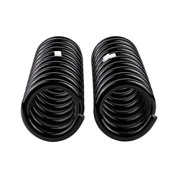 Old Man Emu - 3100 - Coil Spring Set