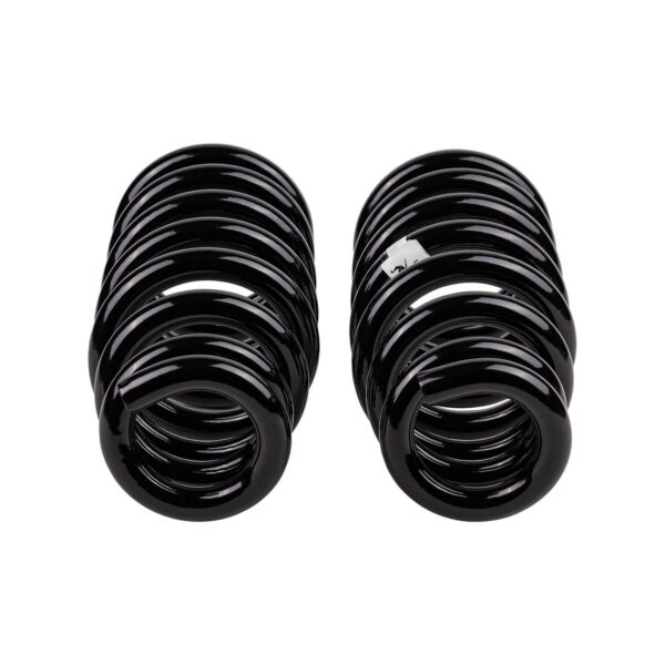 Old Man Emu - 3103 - Coil Spring Set