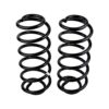 Old Man Emu - 3161 - Coil Spring Set