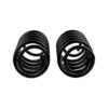 Old Man Emu - 3161 - Coil Spring Set