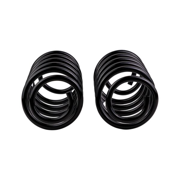 Old Man Emu - 3161 - Coil Spring Set
